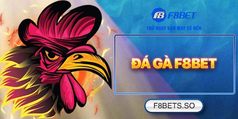 Tất tần tật về cách chơi Đá Gà F8BET