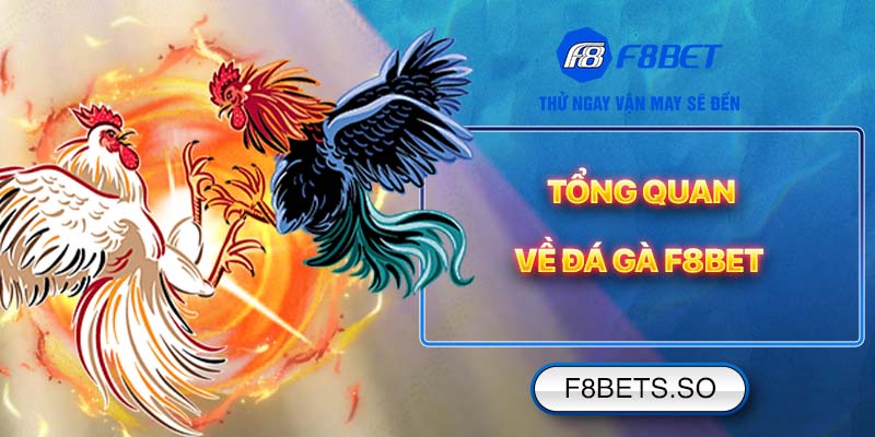 Tổng quan về Đá Gà F8BET