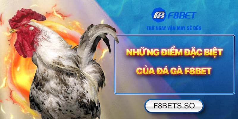 Những điểm đặc biệt của Đá Gà F8BET