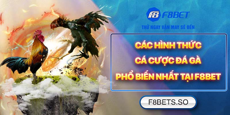 Các hình thức cá cược đá gà phổ biến nhất tại F8BET