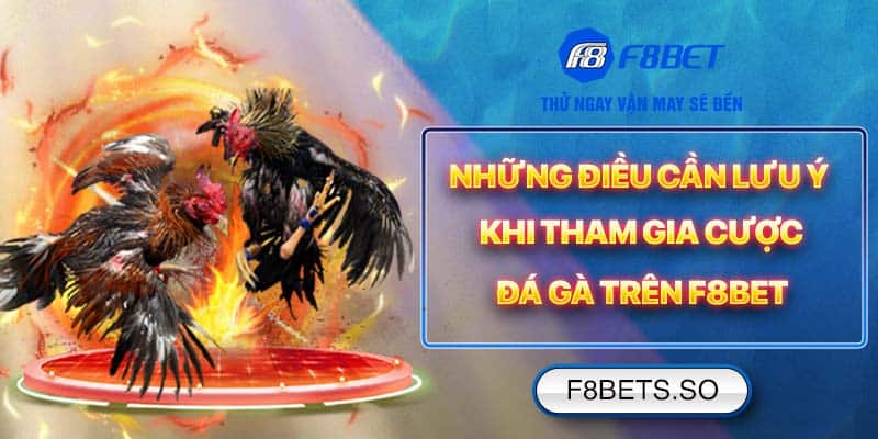 Những điều cần lưu ý khi tham gia cược Đá Gà trên F8BET