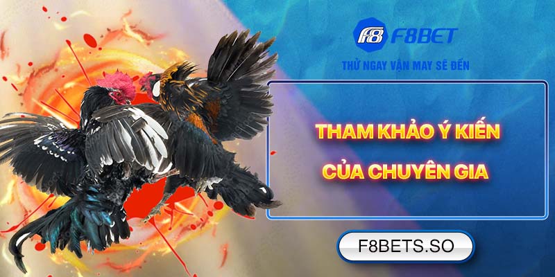 Chiến thuật chiến thắng đá gà tại F8BET