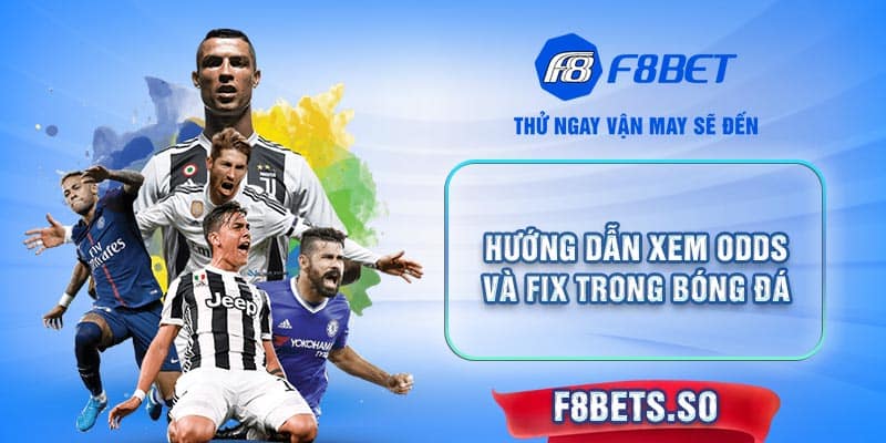 Cùng F8BET khám phá tất tần tật về khái niệm cũng như Cách Xem Odds Và Fix