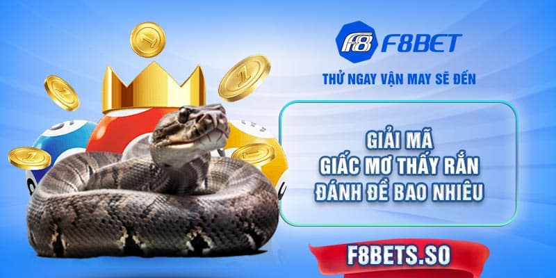 Ngủ mơ thấy rắn đánh con số gì là đẹp? Cùng F8BET khám phá ngay!