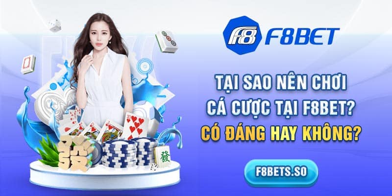 tai sao nen choi ca cuoc tai f8bet thumbnail