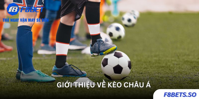 Tất tần tật về kèo cược bóng đá Châu Á